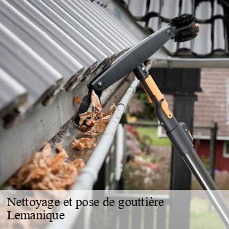 Nettoyage et pose de gouttière Lemanique  AJ Suisse