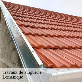 Travaux de zinguerie Lemanique  AJ Suisse