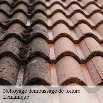 Nettoyage demoussage de toiture Lemanique  AJ Suisse
