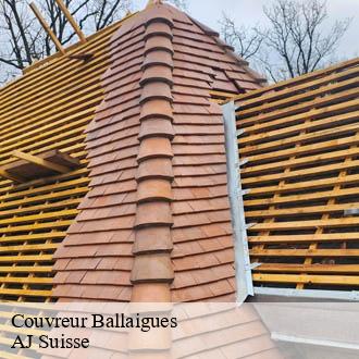 Couvreur  ballaigues-1338 AJ Suisse
