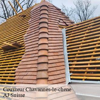 Couvreur  chavannes-le-chene-1464 AJ Suisse