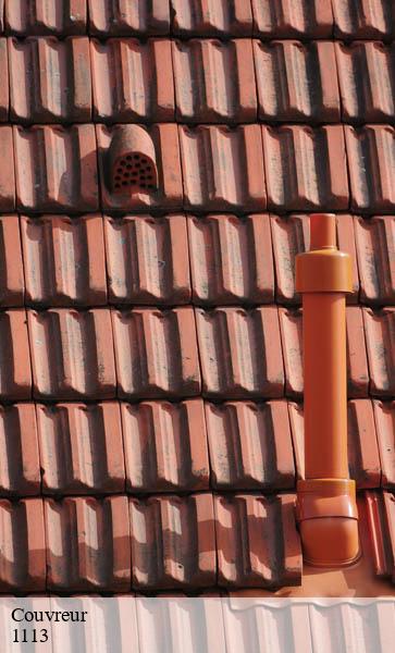 Couvreur  st-saphorin-sur-morges-1113 AJ Suisse
