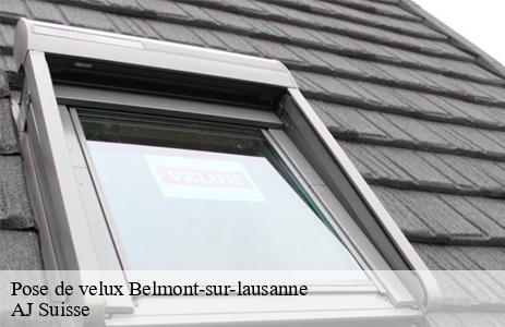 pose-de-velux