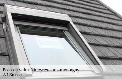 pose-de-velux