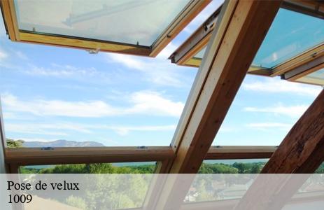 pose-de-velux