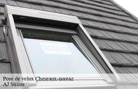 pose-de-velux