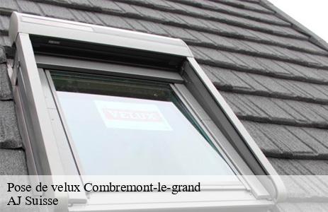 pose-de-velux