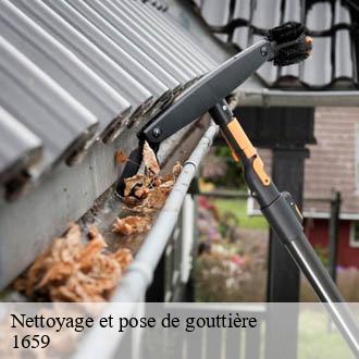Nettoyage et pose de gouttière  rougemont-1659 AJ Suisse