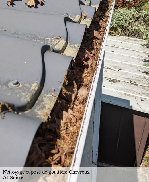 Nettoyage et pose de gouttière  chevroux-1545 AJ Suisse