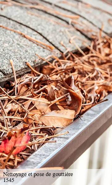Nettoyage et pose de gouttière  chevroux-1545 AJ Suisse