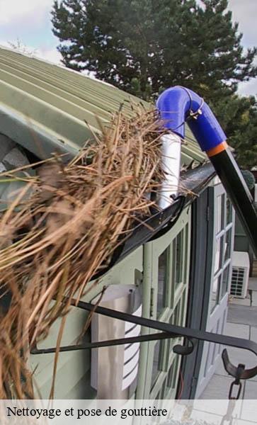Nettoyage et pose de gouttière  chevroux-1545 AJ Suisse