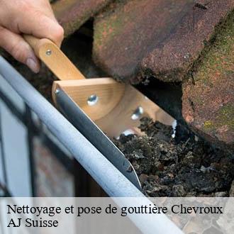 Nettoyage et pose de gouttière  chevroux-1545 AJ Suisse