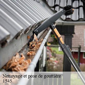 Nettoyage et pose de gouttière  chevroux-1545 AJ Suisse