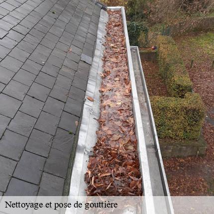 Nettoyage et pose de gouttière  denens-1135 AJ Suisse