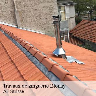Travaux de zinguerie  blonay-1807 AJ Suisse