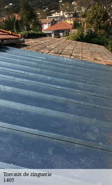 Travaux de zinguerie  pomy-1405 AJ Suisse
