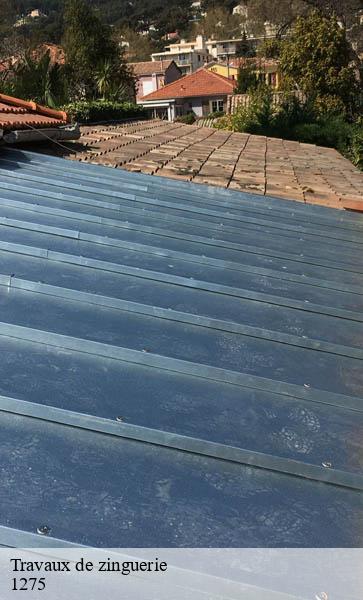 Travaux de zinguerie  cheserex-1275 AJ Suisse