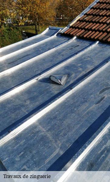 Travaux de zinguerie  cheserex-1275 AJ Suisse
