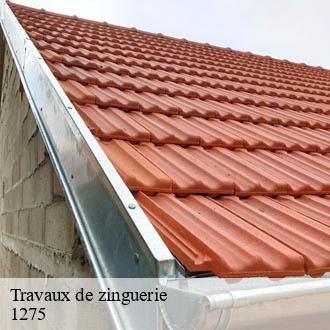 Travaux de zinguerie  cheserex-1275 AJ Suisse