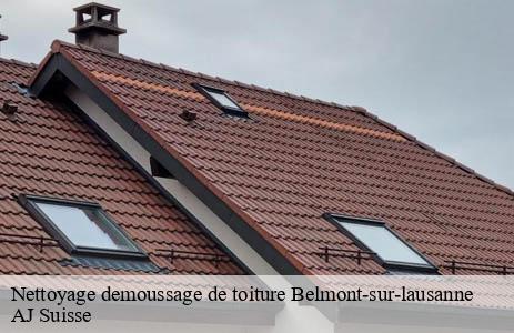 nettoyage-demoussage-de-toiture