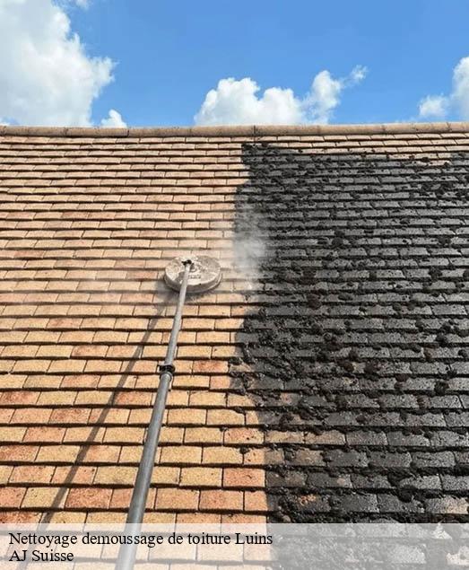 Nettoyage demoussage de toiture  luins-1184 AJ Suisse