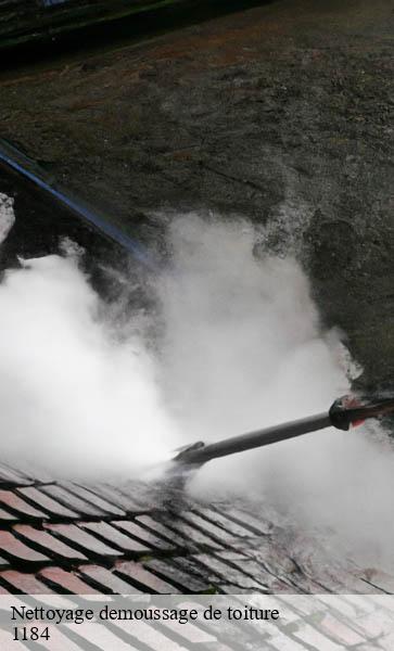 Nettoyage demoussage de toiture  luins-1184 AJ Suisse