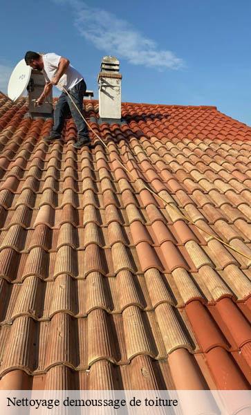 Nettoyage demoussage de toiture  luins-1184 AJ Suisse