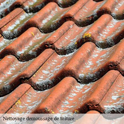 Nettoyage demoussage de toiture  luins-1184 AJ Suisse