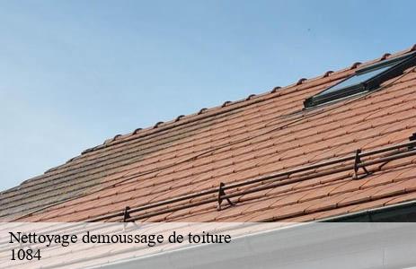 nettoyage-demoussage-de-toiture