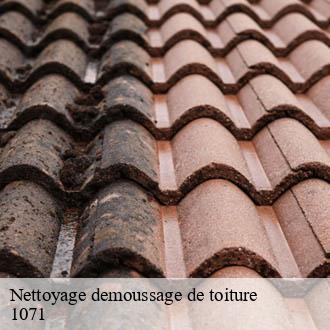 Nettoyage demoussage de toiture  chexbres-1071 AJ Suisse