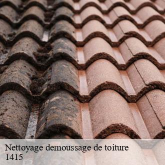 Nettoyage demoussage de toiture  demoret-1415 AJ Suisse
