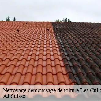 Nettoyage demoussage de toiture  les-cullayes-1080 AJ Suisse