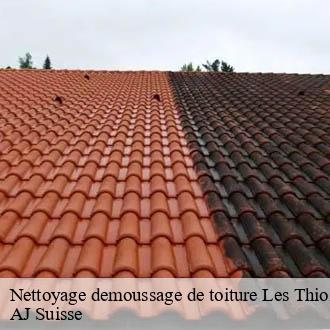 Nettoyage demoussage de toiture  les-thioleyres-1607 AJ Suisse