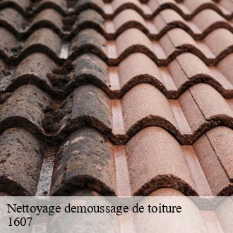 Nettoyage demoussage de toiture  les-thioleyres-1607 AJ Suisse