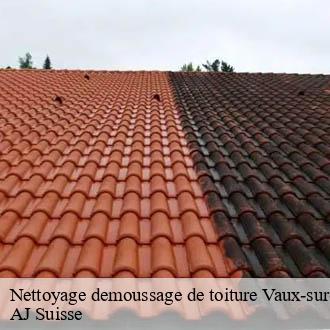 Nettoyage demoussage de toiture  vaux-sur-morges-1126 AJ Suisse