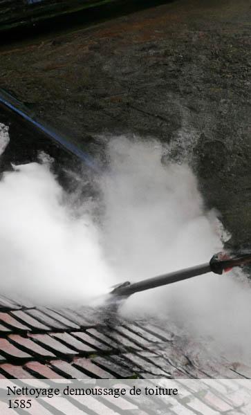 Nettoyage demoussage de toiture  bellerive-1585 AJ Suisse