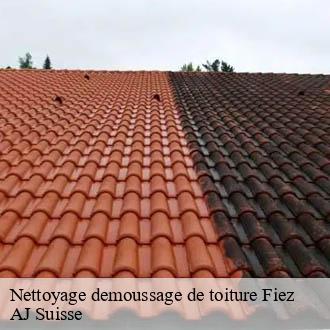 Nettoyage demoussage de toiture  fiez-1420 AJ Suisse