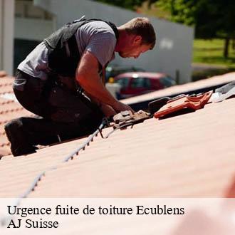 Urgence fuite de toiture  ecublens-1024 AJ Suisse