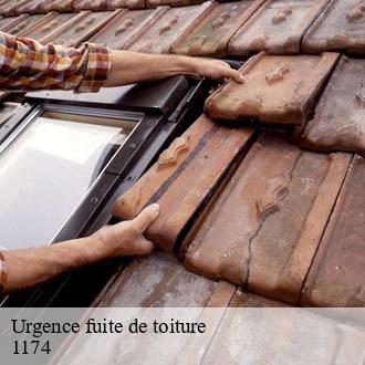 Urgence fuite de toiture  pizy-1174 AJ Suisse
