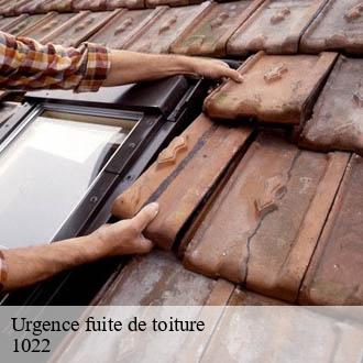 Urgence fuite de toiture  chavannes-pres-renens-1022 AJ Suisse