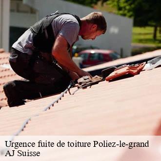 Urgence fuite de toiture  poliez-le-grand-1041 AJ Suisse