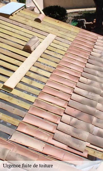 Urgence fuite de toiture  gimel-1188 AJ Suisse