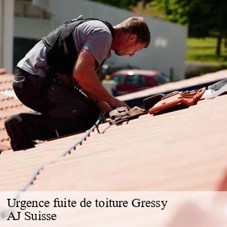 Urgence fuite de toiture  gressy-1432 AJ Suisse