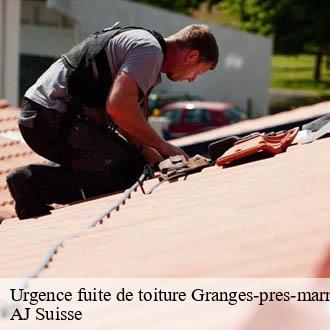 Urgence fuite de toiture  granges-pres-marnand-1523 AJ Suisse