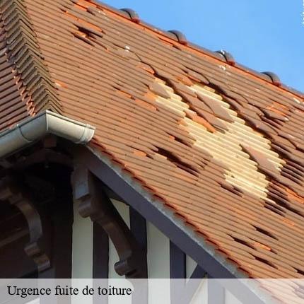 Urgence fuite de toiture  daillens-1306 AJ Suisse