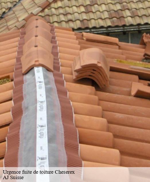 Urgence fuite de toiture  cheserex-1275 AJ Suisse