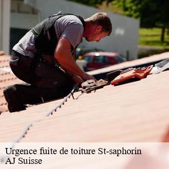 Urgence fuite de toiture  st-saphorin-1071 AJ Suisse