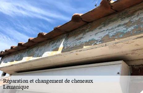 reparation-et-changement-de-cheneaux