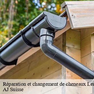 Réparation et changement de cheneaux Lemanique  AJ Suisse