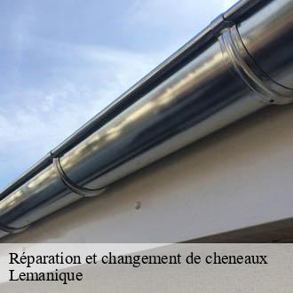 Réparation et changement de cheneaux Lemanique  AJ Suisse